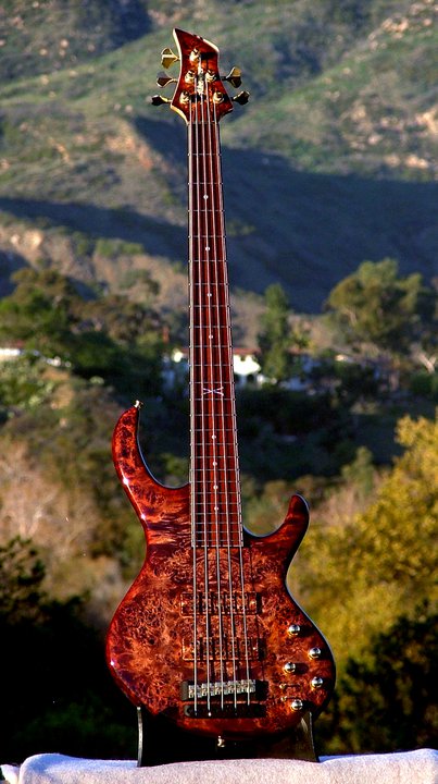 Fibenare Custom Order Guitars