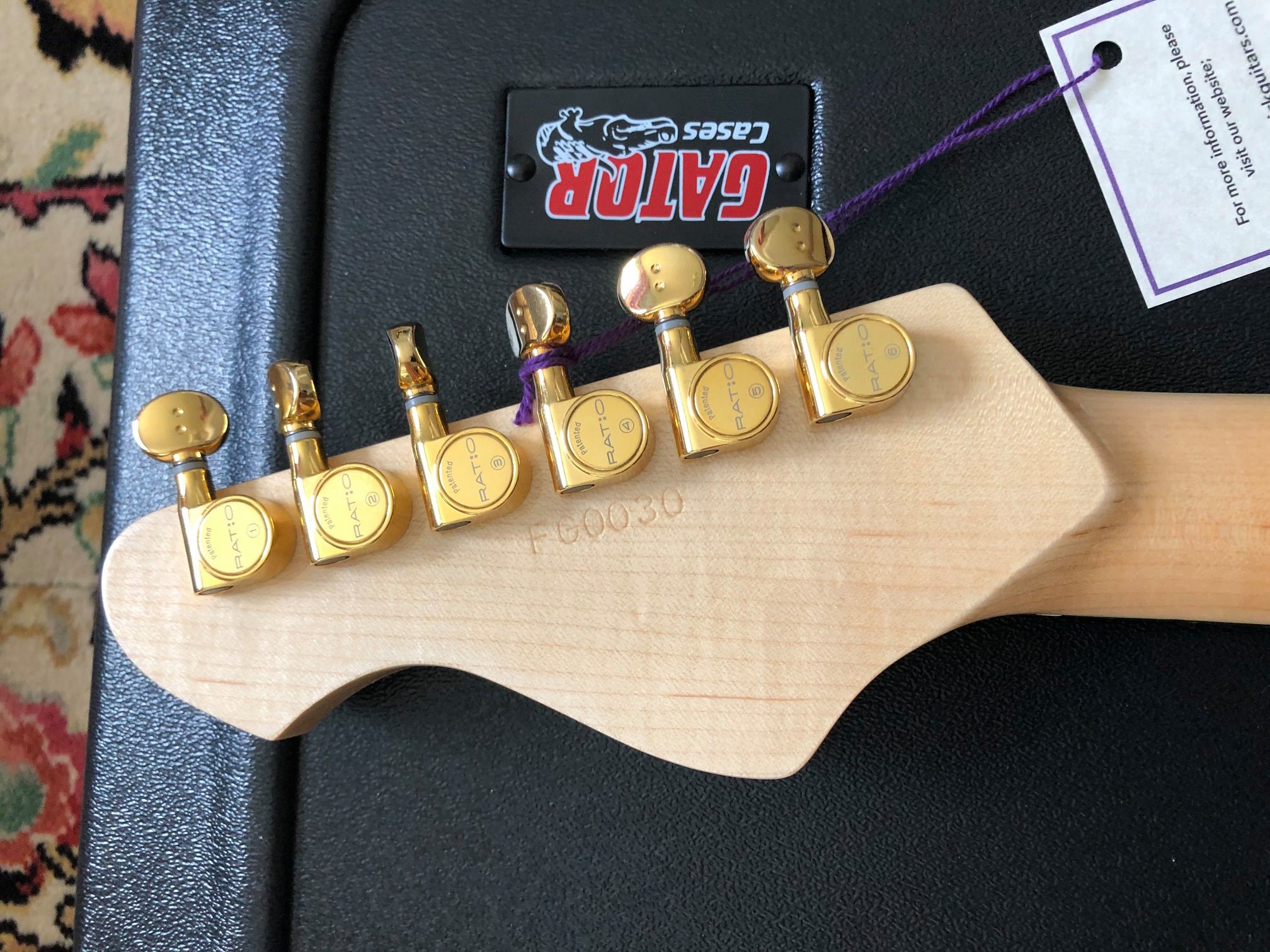 Frederick Guitars Orbitron #FG 0030