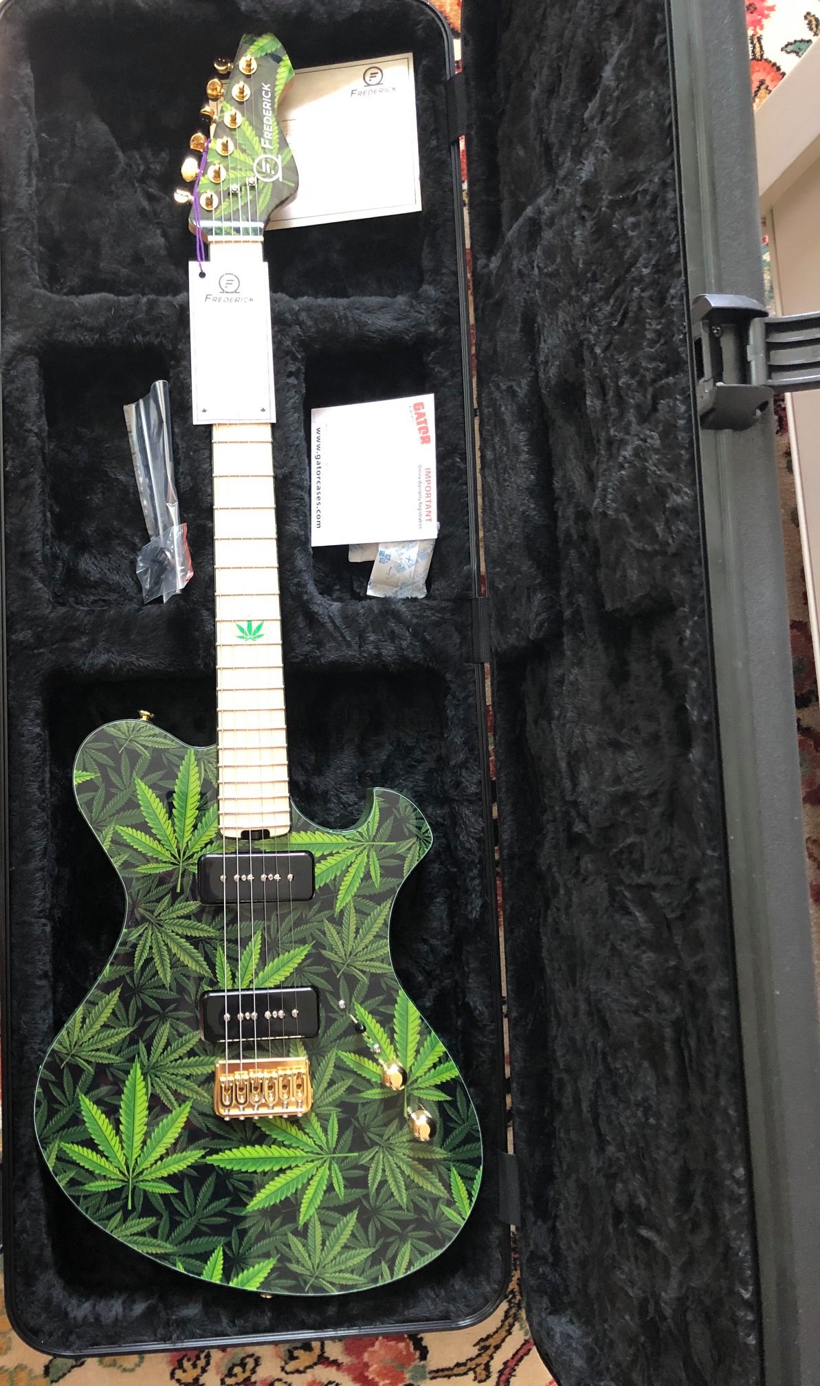Frederick Guitars Orbitron #FG 0030