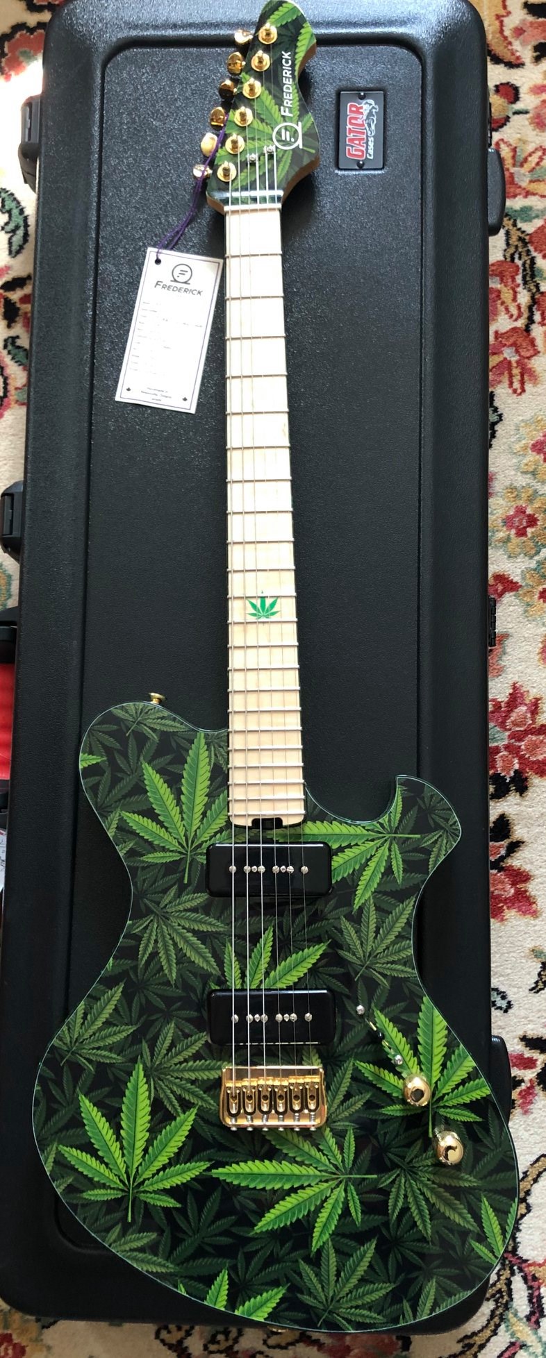 Frederick Guitars Orbitron #FG 0030