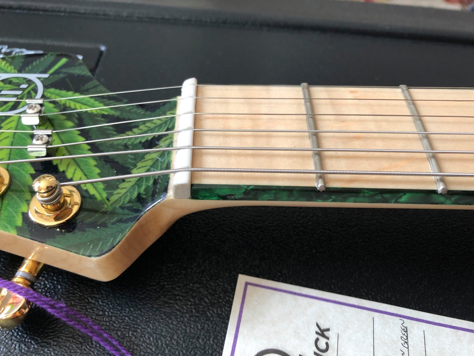 Frederick Guitars Orbitron #FG 0030