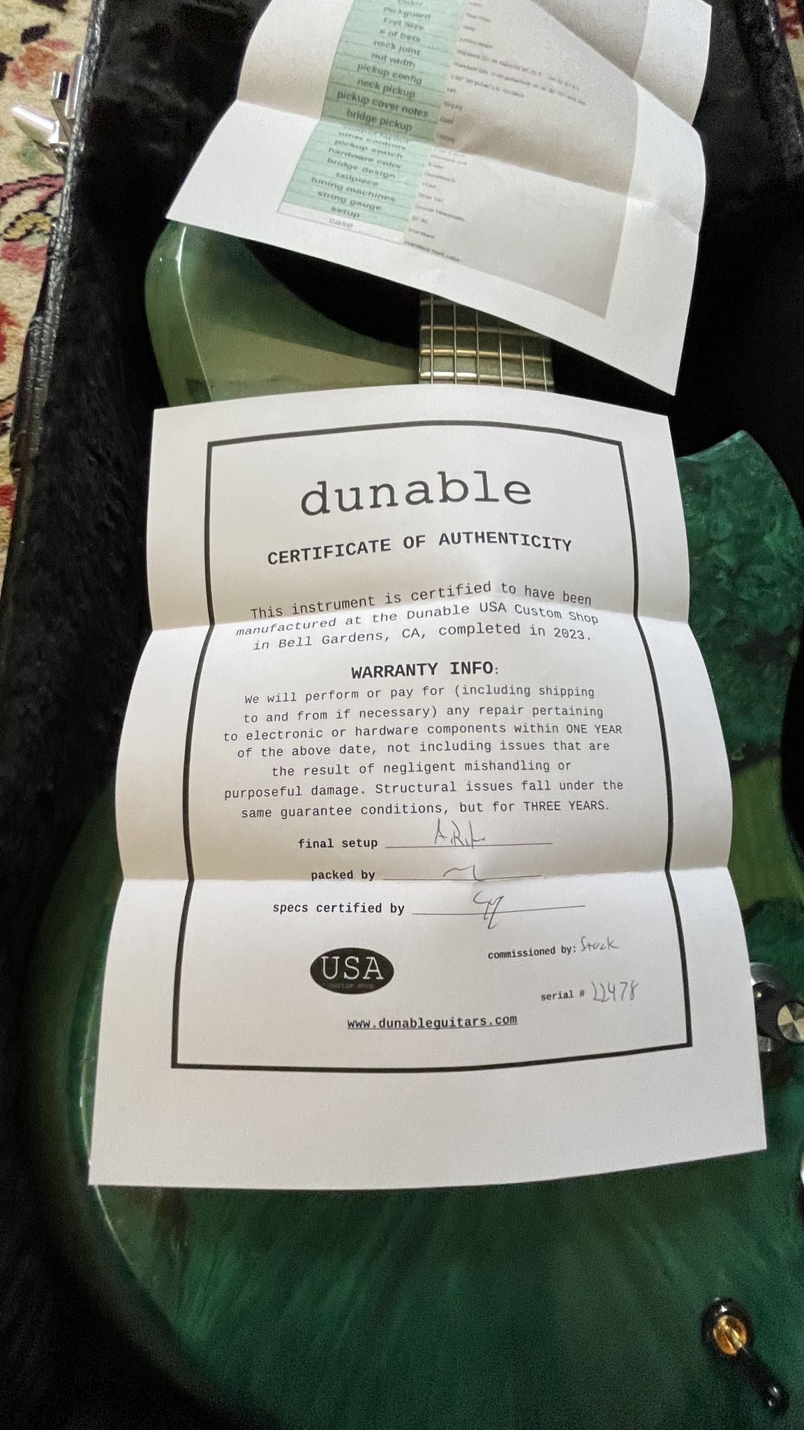 Dunable Guitars Custom Yeti