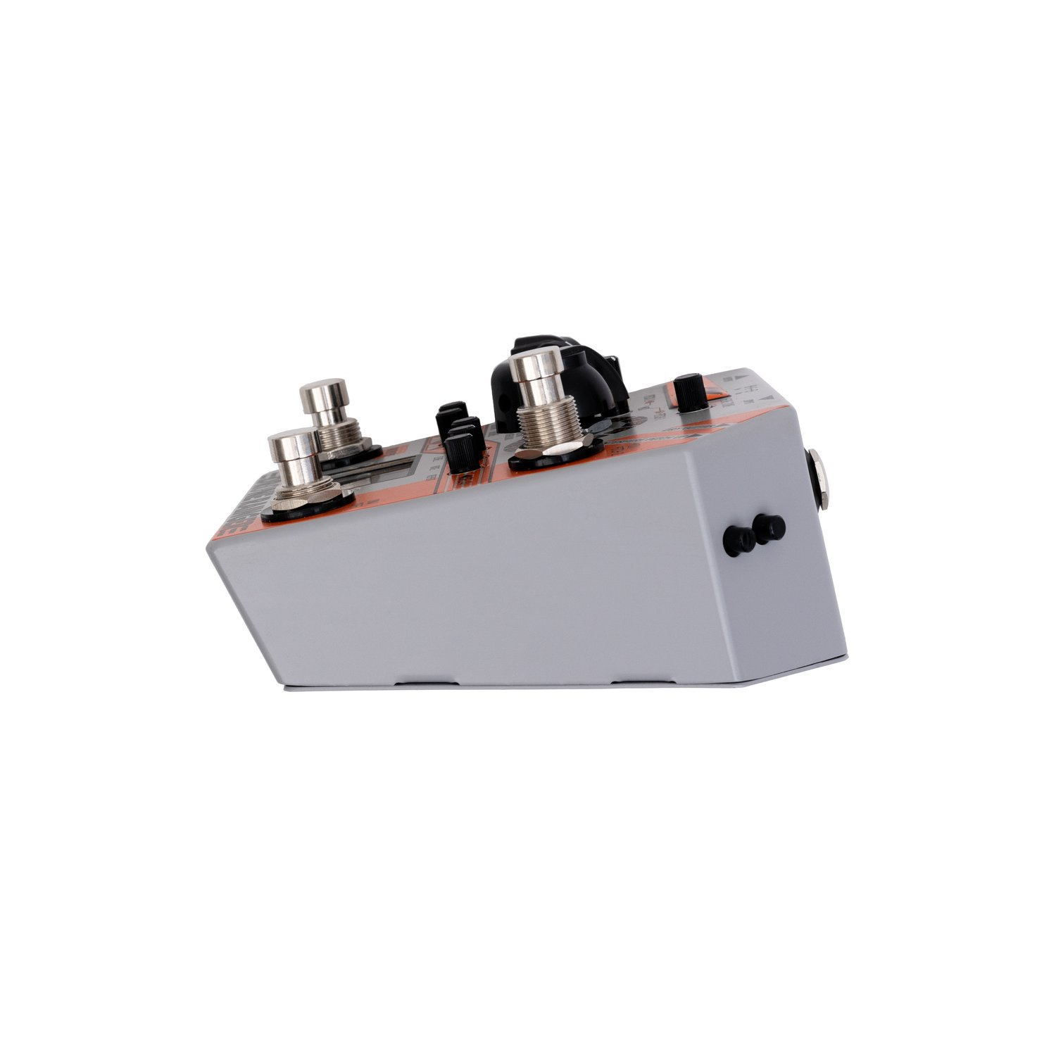 Rainger FX Drone Rainger - Digital Delay