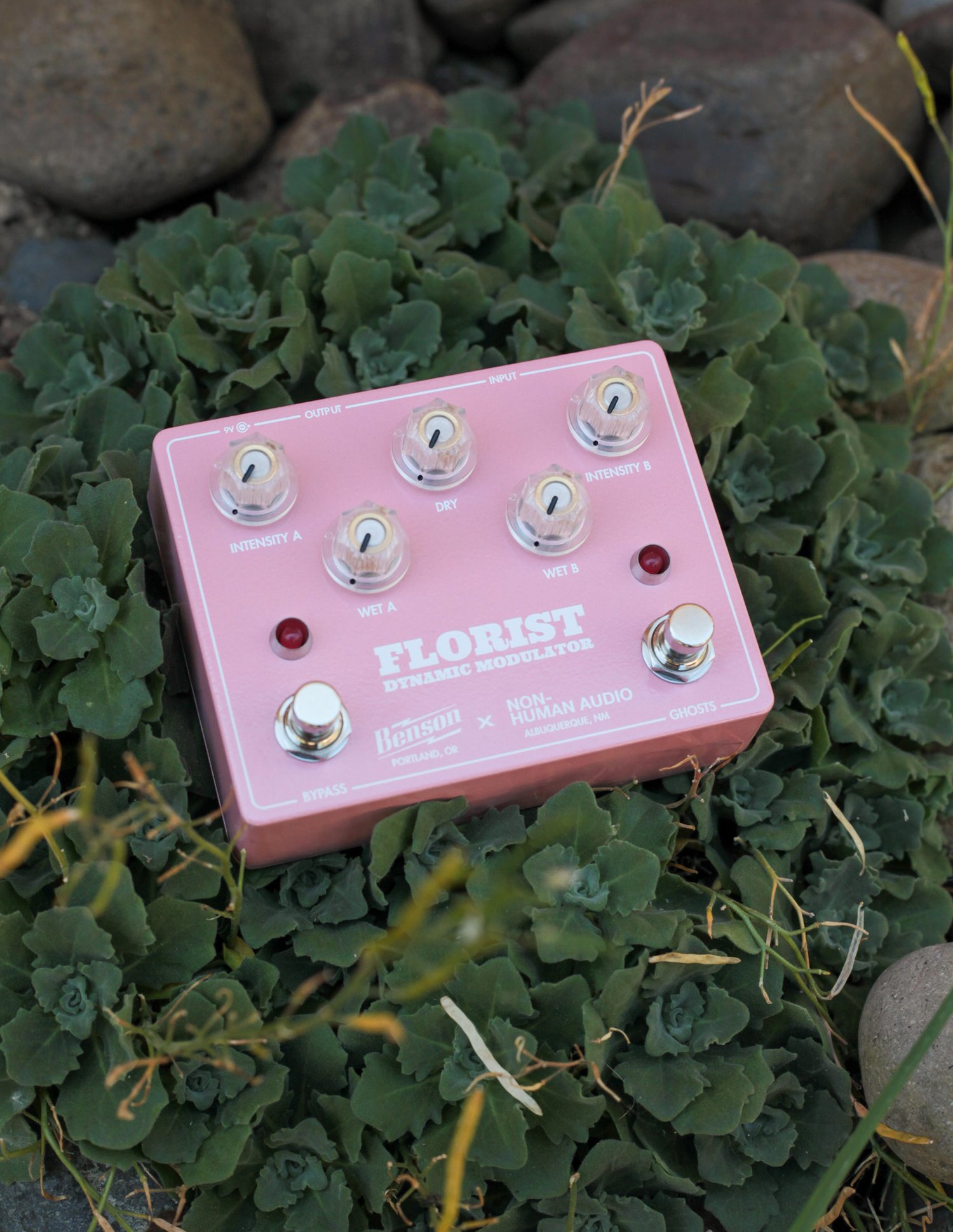 Benson Florist Dynamic Modulator