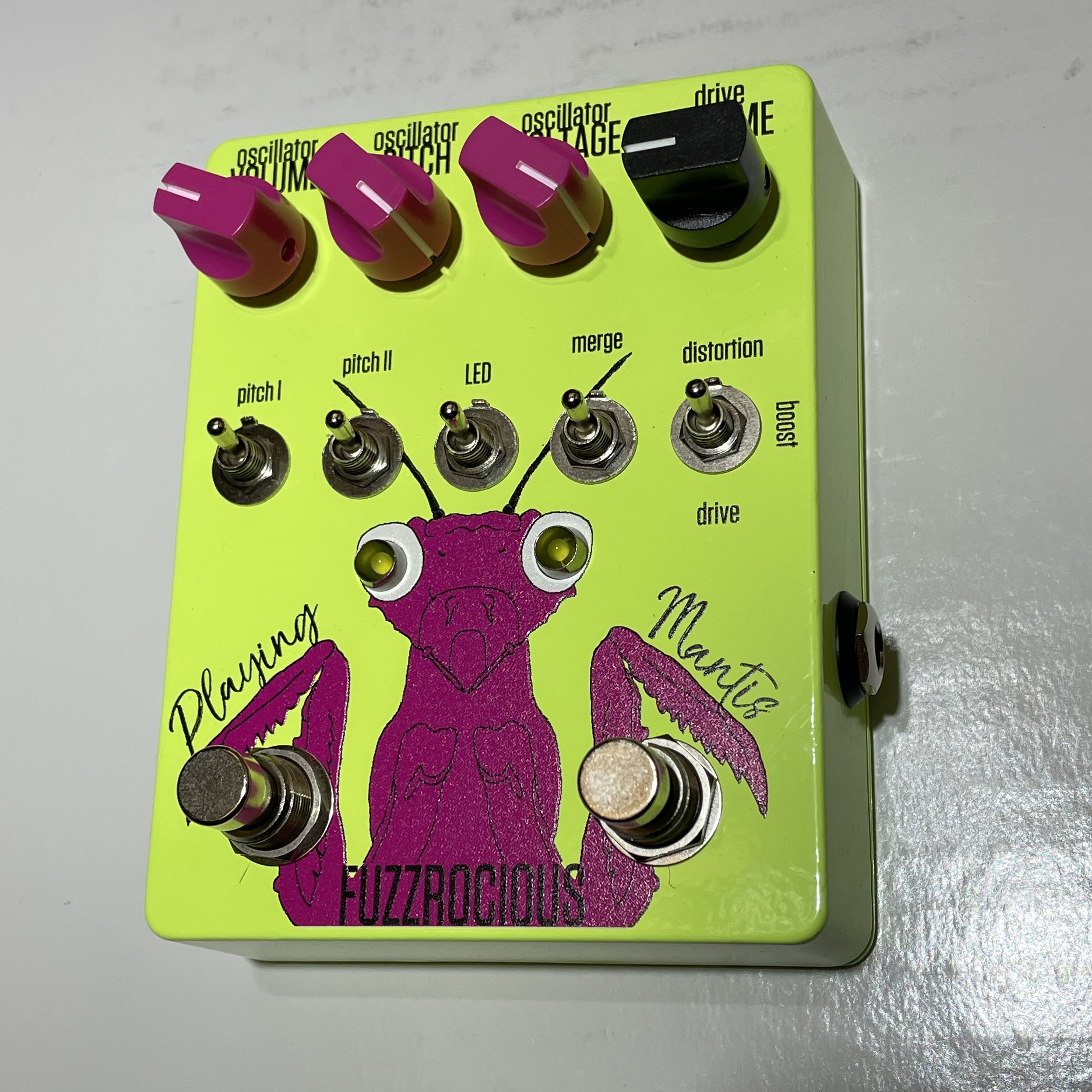 Fuzzrocious Playing Mantis