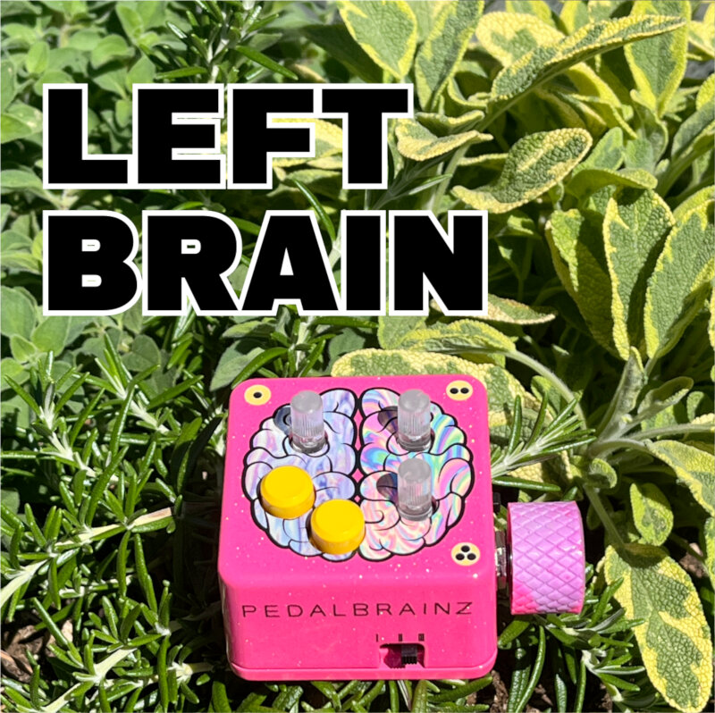 Pedal Brainz Left Brain - Expression Modulator