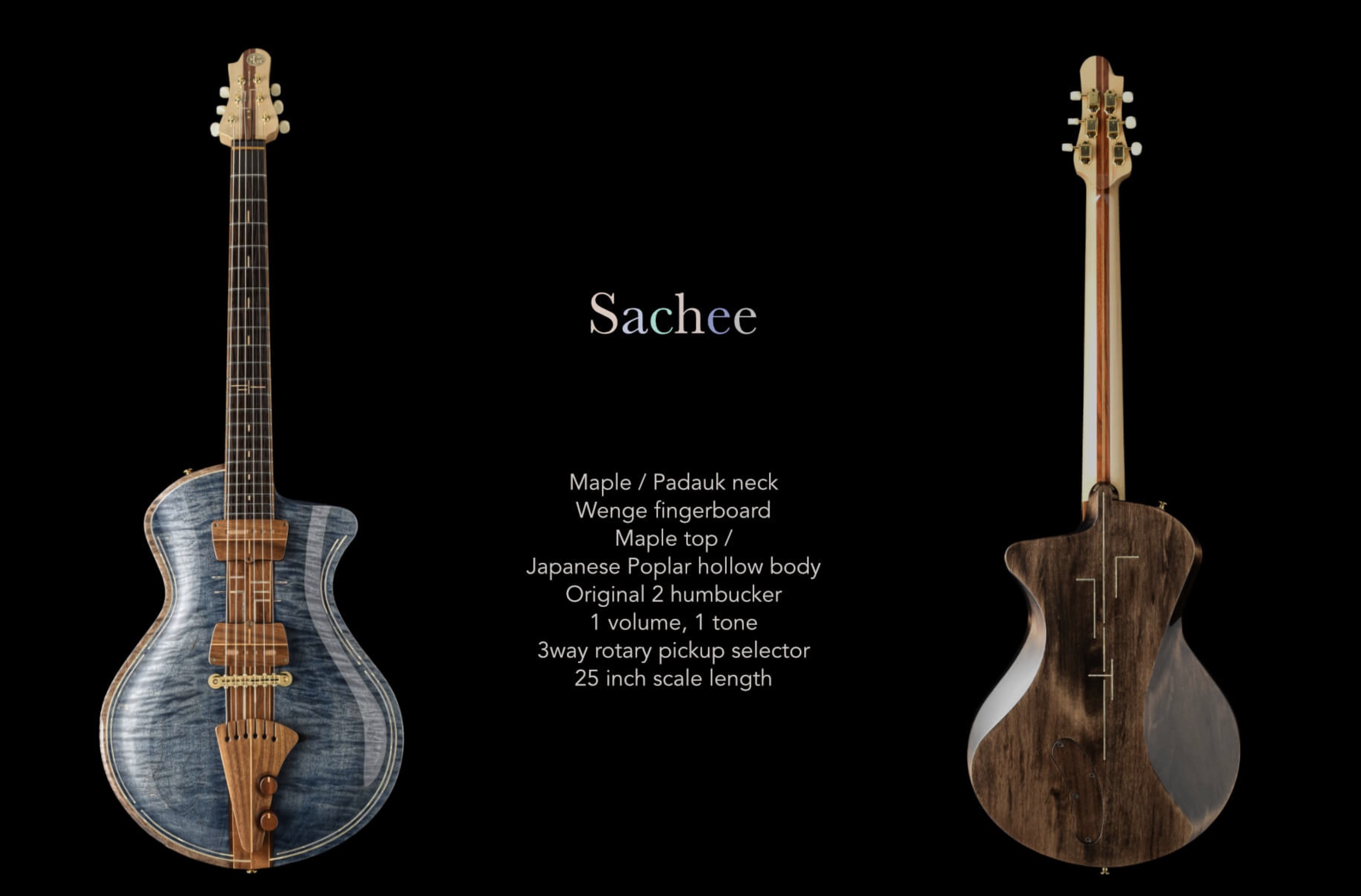 Jersey Girl Homemade Guitars - Sachee