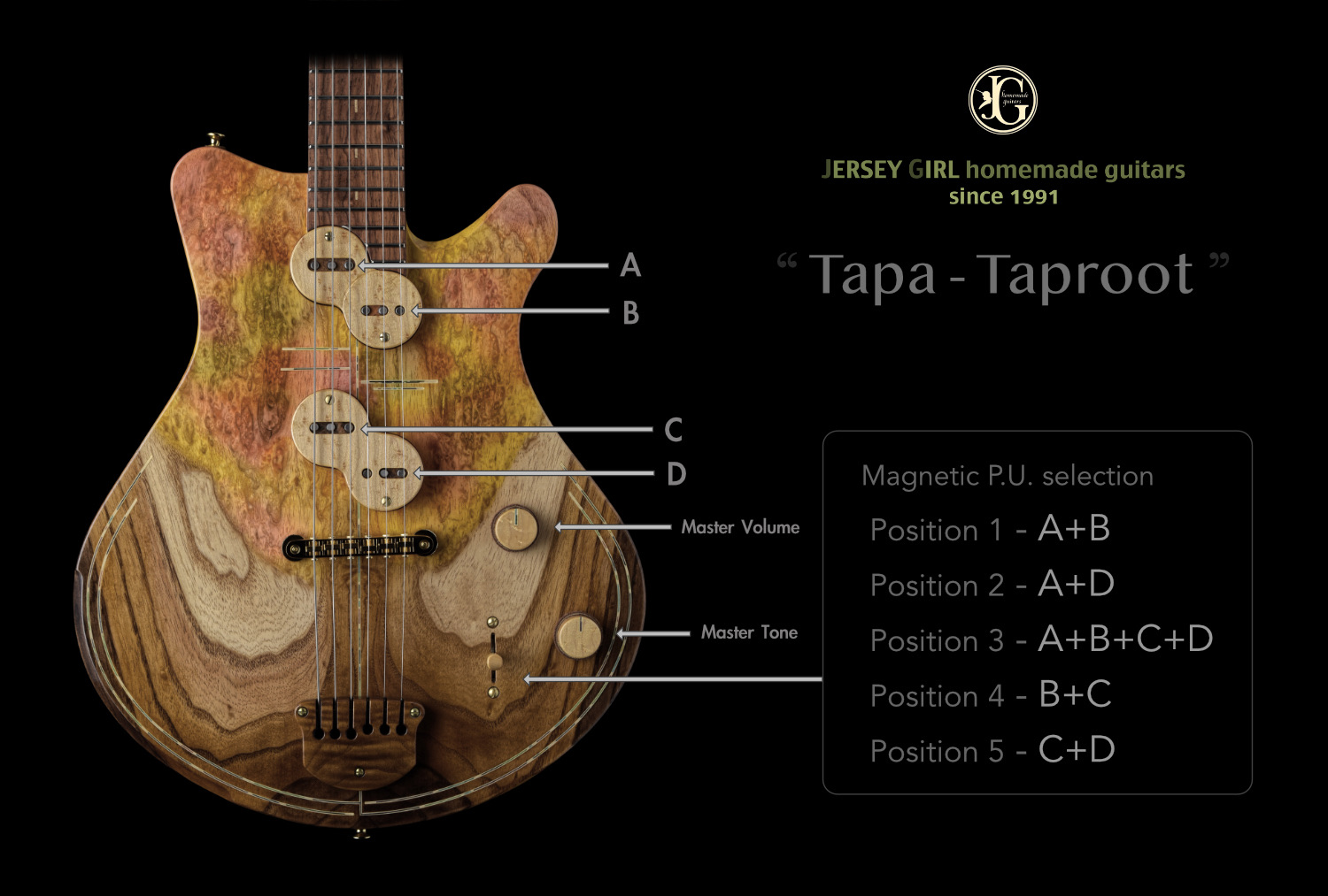 Jersey Girl Homemade Guitars Tapa - TapRoot