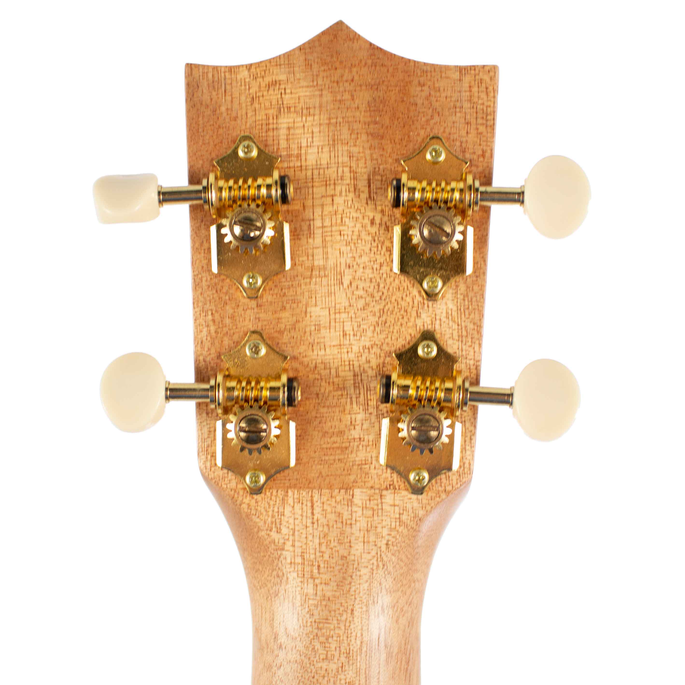 Honolua Ukuleles Mano Acoustic Electric Concert Ukulele MA-21E