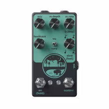 NativeAudio Wilderness analog-voiced delay